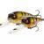 Westin MegaBite DR Crankbait