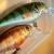 Salmo Rattlin’ Executor SDR