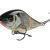 Salmo Slider 10 cm