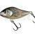 Salmo Slider 10 cm