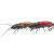 Microbait Señuelos duros Stictoleptura Rubra